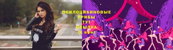сатива Осташков