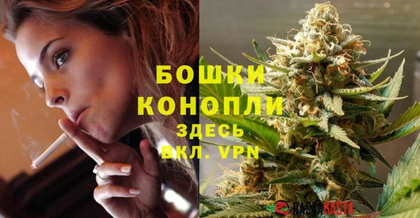сатива Осташков