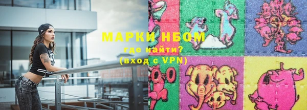 сатива Осташков