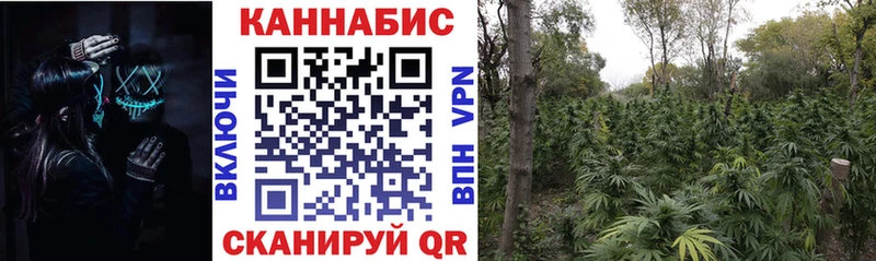 Бошки марихуана тримм что такое Разумное